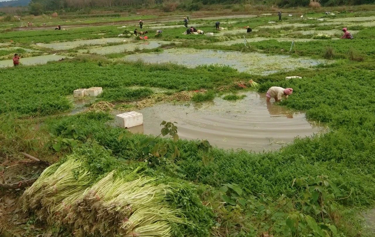 有钱钱包 - 安全便捷的数字资产管理工具